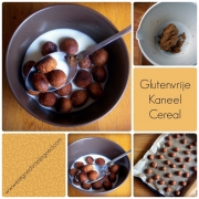 Ontbijtrecepten Dag 2 - Glutenvrije Kaneel Cereal