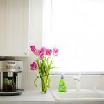 Voorjaarsschoonmaak in de Keuken: De Werkbladen + alternatief voor Bleekwater
