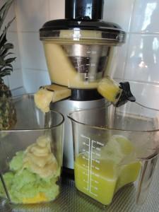 Review Hurom Slowjuicer 