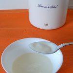 Zelf Kokosyoghurt maken (probiotisch, melkvrij)