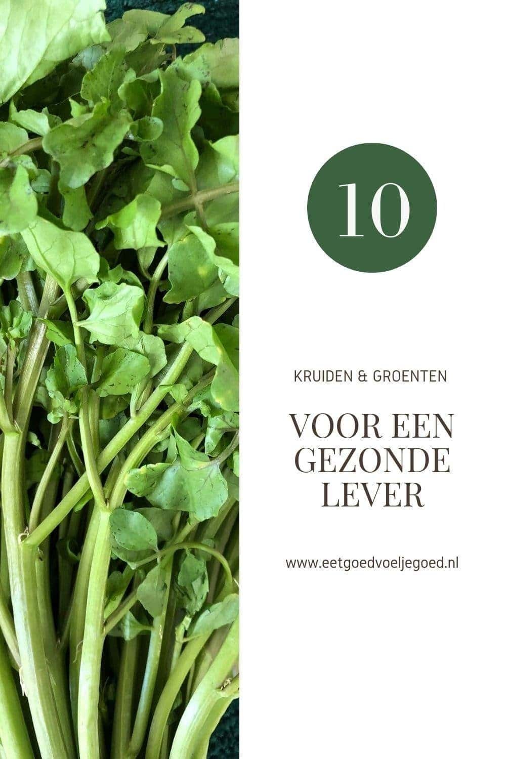 10 Kruiden en Groenten voor een Gezonde Lever